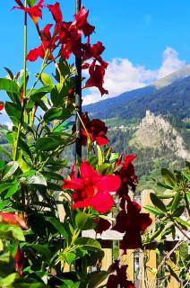 Burg Laudegg Blick - - 0