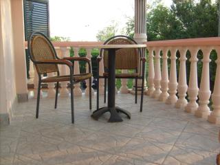 Studio apartment in Privlaka with balcony, air conditioning, WiFi 878-2 - Privlaka - 8