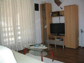 Apartment in Fazana with balcony, air conditioning, W-LAN,washing machine 229-1 - 9