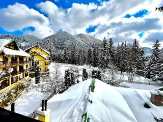 Hotel Casa Viorel jacuzzi & saunas - Poiana Brasov - 4