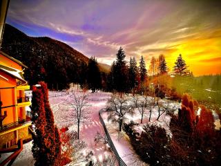 Hotel Casa Viorel jacuzzi & saunas - 3