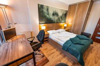 Apartamenty Sun & Snow Centrum Krynica Zdrój - Krynica-Zdrój - 1