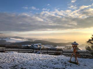 Hotel "Haus am Berg" - Rinchnach - 8