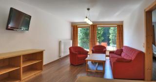 Astn Hütten Residenz Waldsicht Königsleiten - Ferienwohnungen - 4
