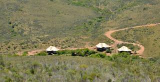 Garden Route Safari Camp - 7
