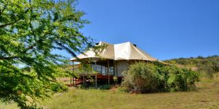 Garden Route Safari Camp - Mossel Bay - 6