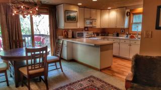 New listing! ON 62-acre Broad Ripple park/ less than a mile from Broad Ripple village. - Indianápolis - 0