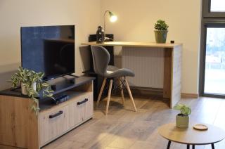 Roof Terrace Old Town Apartments with private parking - Danzig - 9