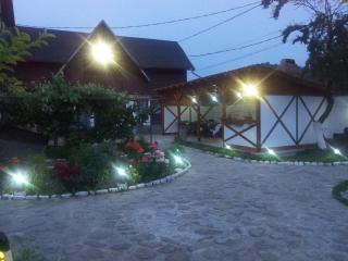 Pension Sf Nicolae - Aluniş - 4