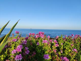 Vista al Mar, Ferienwohnung, Traumhafter Meerblick, Seaview - 3