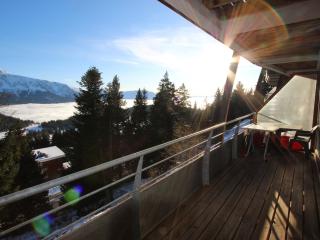 Bel appartement 3* plein sud à Chamrousse, avec terrasse et animaux acceptés - FR-1-549-92 - 2