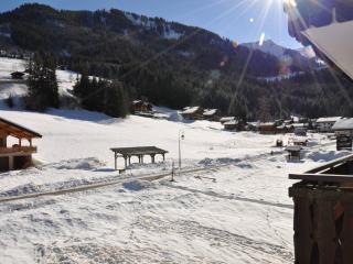 Bel appartement à Châtel près du centre et des télécabines, avec Multi Pass été à 3€/jour/personne - FR-1-693-63 - Châtel - 7