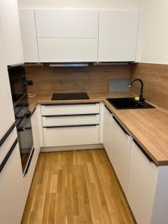 Apartman Holesovice,balkon,garaz - Praga - 8