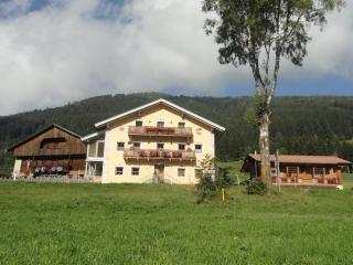 Ferienwohnung Suntinger - Iselsberg - 5