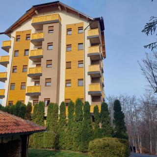 Snežna idila - Zlatibor - 5