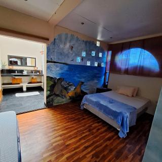 Cozy Hosting Galapagos - Puerto Ayora - 6