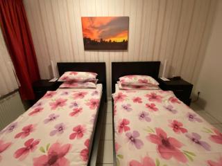 Suite Elisabeth - Wetzlar - 7