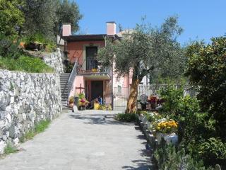 azienda agricola zulin casa elena - Levanto - 5