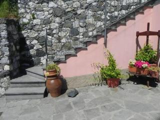 azienda agricola zulin casa elena - Levanto - 6
