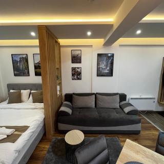 President Kop - Silver Ice Apartment - Kopaonik - 3