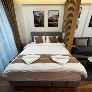 President Kop - Silver Ice Apartment - Kopaonik - 6