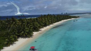 Oceania House Hotel - Bantam Village - 6