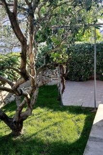 Seaside holiday house Pasman - 870 - 4
