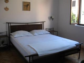 Seaside holiday house Pasman - 870 - Pašman - 2