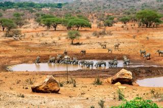 Kilaguni Serena Safari Lodge - Tsavo - 0