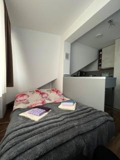 Apartman Kruna President Kop - 4