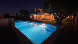 Sunny Florida - Torrevieja - 6