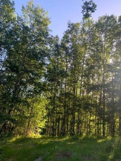 "Refugio Pulli" Tierra y naturaleza - 2