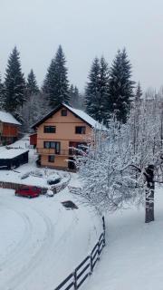 Apartman Miron Pale - Pale - 0
