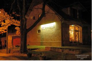 Hotel Zum Klosterfischer - Blankenburg - 1