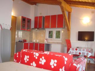 Studio apartment in Tribunj with sea view, balcony, air conditioning, WiFi 68-1 - 2