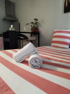 Pau hypercentre Studio - 7