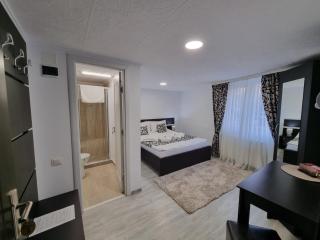 Casa Thor - Sinaia - 1
