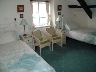 Grey Mullet Guest House - St Ives - 8