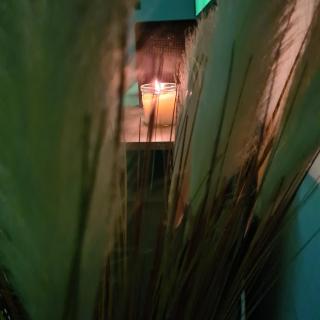 CATALEYA - Zagreb - 2
