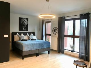 Bookowska Dal Cuore Apartment - Poznań - 4