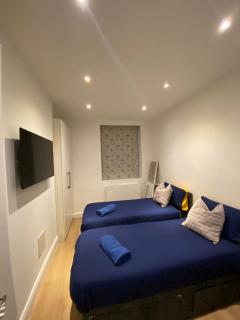 Elegant 2 Bed Flat in Chiswick - London - 1