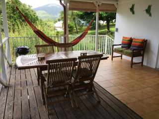 Grand bungalow avec piscine et vue mer - 1