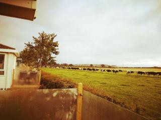 19 Park Views Just outside Penrith for Holidays and Short Breaks please no commercial vans thankyou - High Hesket - 1