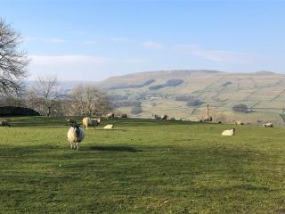 Quarry Cottage near Hawes, Yorkshire Dales, Pet free - 1