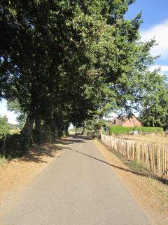 De Hoog Velden 12 - Pelt - 8