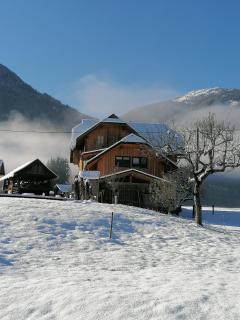 Ferienwohnungen Themessl - Kirchbach - 9