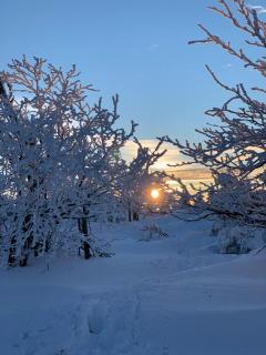 Ferienhaus Tooren - 7