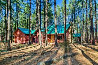 Modern Pinetop Cabin with Patio and Fire Pit! - Indian Pine - 8