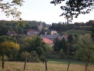Spacieux gîte familial avec jardin et salle de jeux, proche de Center Parcs et des Vosges - FR-1-584-45 - 7