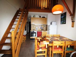 Duplex 4 pièces pour 6 pers à 300m des pistes avec parking gratuit - Auris en Oisans - FR-1-297-295 - Auris - 0